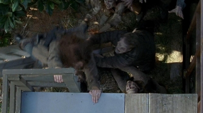 twd0608-0357.jpg