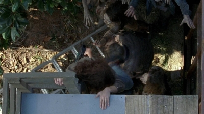 twd0608-0359.jpg