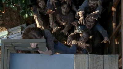 twd0608-0365.jpg