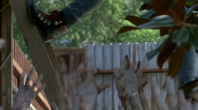 twd0608-0371.jpg