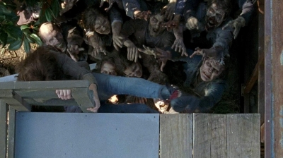 twd0608-0375.jpg