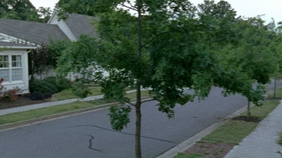 twd0608-0497.jpg