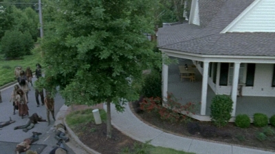 twd0608-0507.jpg