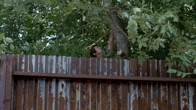 twd0608-3162.jpg