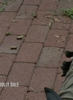 twd0608-0280.jpg