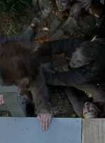 twd0608-0357.jpg