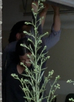 twd0608-0437.jpg