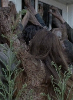 twd0608-0451.jpg