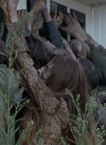 twd0608-0453.jpg