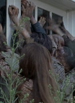twd0608-0454.jpg