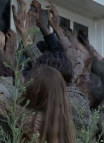 twd0608-0455.jpg