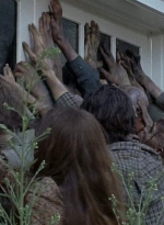 twd0608-0456.jpg