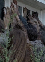 twd0608-0457.jpg