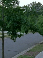 twd0608-0496.jpg