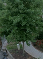 twd0608-0508.jpg