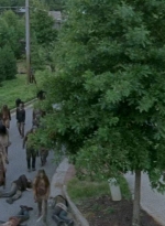 twd0608-0509.jpg