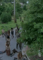 twd0608-0510.jpg