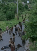 twd0608-0511.jpg