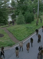 twd0608-0519.jpg