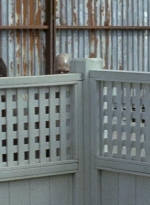twd0608-1487.jpg