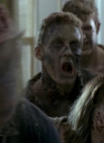 twd0608-2237.jpg