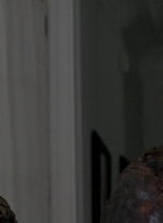 twd0608-3122.jpg