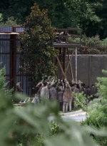 twd0608-3174.jpg