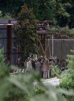twd0608-3176.jpg