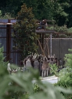 twd0608-3177.jpg