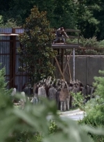 twd0608-3179.jpg