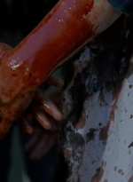 twd0608-3289.jpg