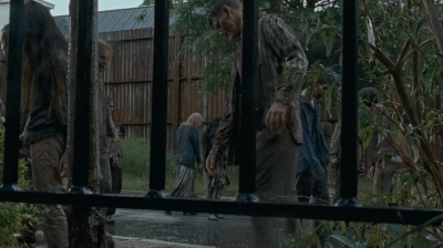 twd0609-1041.jpg