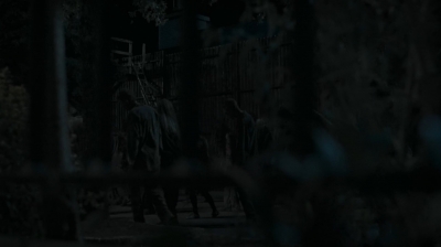 twd0609-1902.jpg