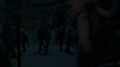 twd0609-2010.jpg