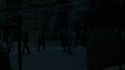 twd0609-2016.jpg