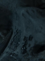 twd0609-1572.jpg
