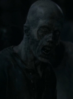 twd0609-1670.jpg