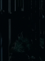 twd0609-2743.jpg