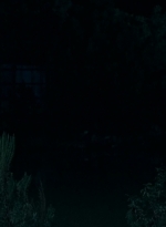 twd0609-2887.jpg