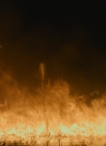 twd0609-2994.jpg