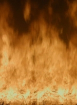 twd0609-2996.jpg