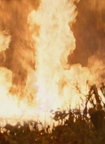 twd0609-2997.jpg