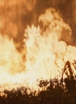 twd0609-2998.jpg
