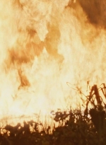 twd0609-2999.jpg