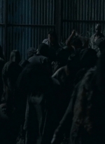 twd0609-3038.jpg
