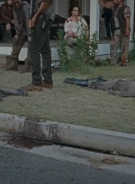twd0609-3163.jpg