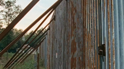 twd0610-0462.jpg