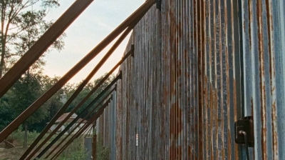 twd0610-0464.jpg