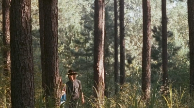 twd0610-1464.jpg