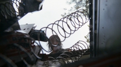 twd0610-1527.jpg